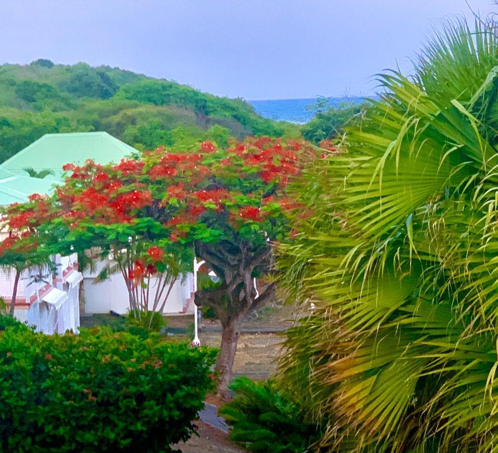 Le Titouloulou 1023 Anse Des Rochers 생프랑수아 외부 사진