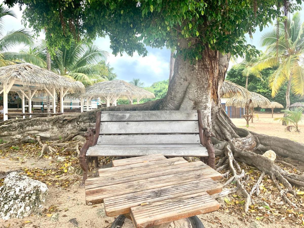 Le Titouloulou 1023 Anse Des Rochers 생프랑수아 외부 사진